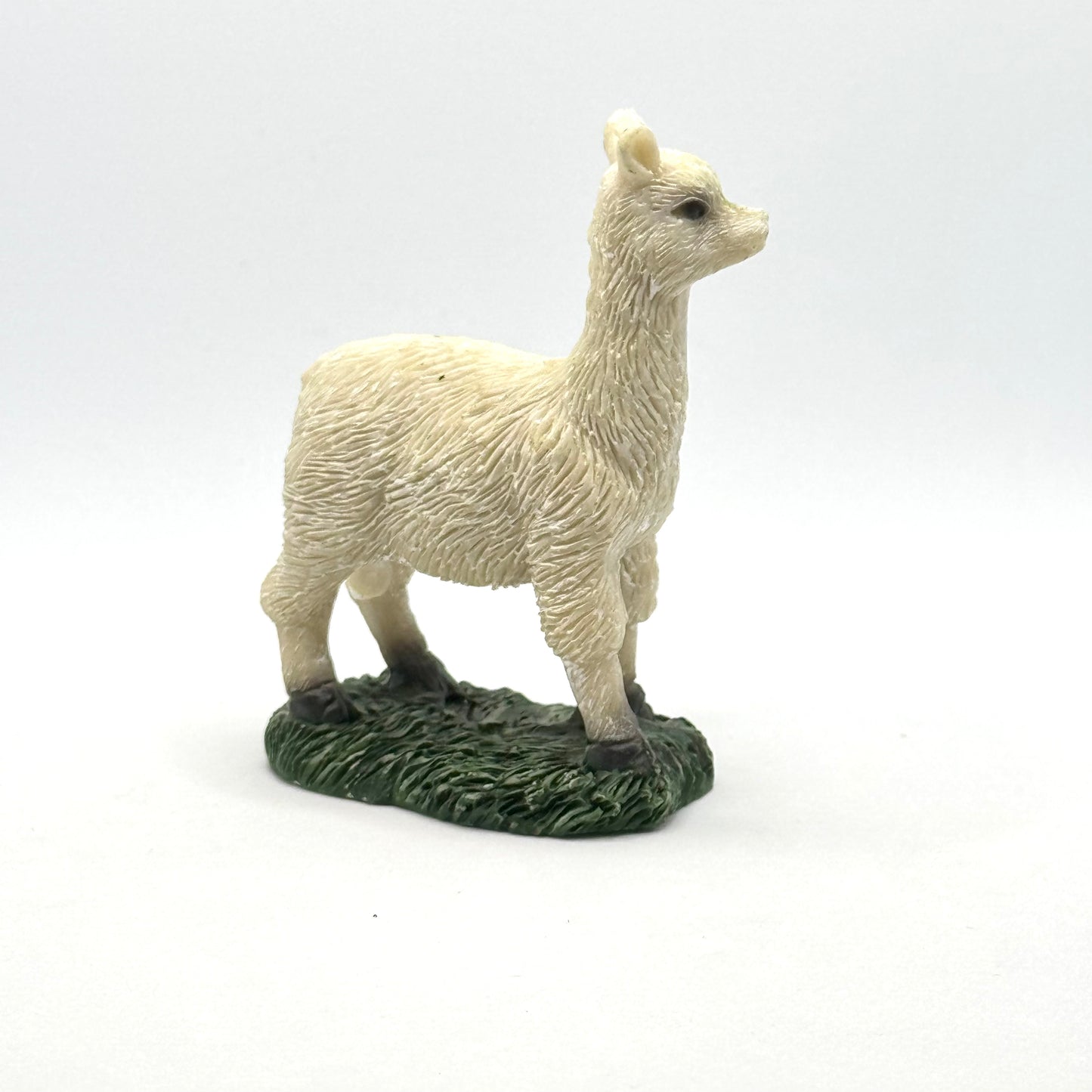 Alpaca