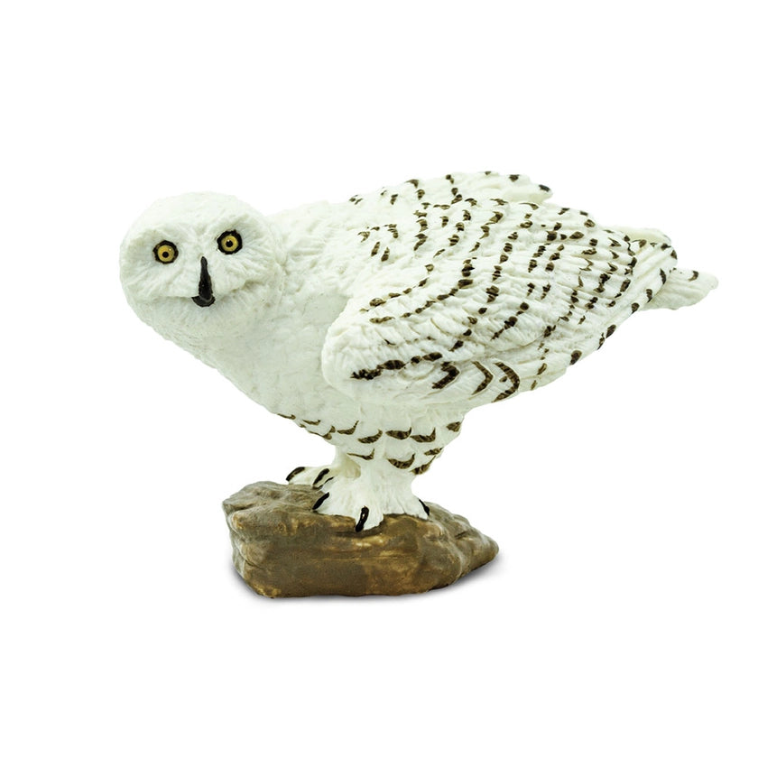 Snowy Owl