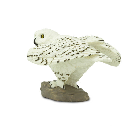 Snowy Owl
