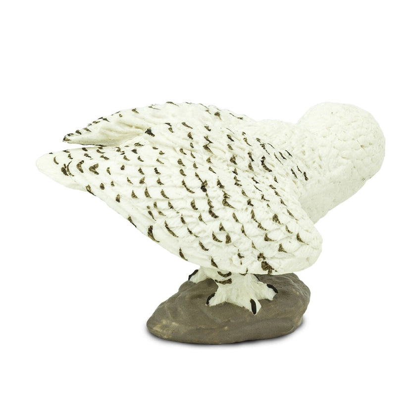 Snowy Owl