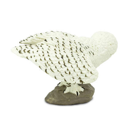 Snowy Owl