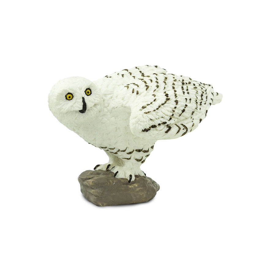 Snowy Owl