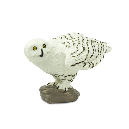 Snowy Owl